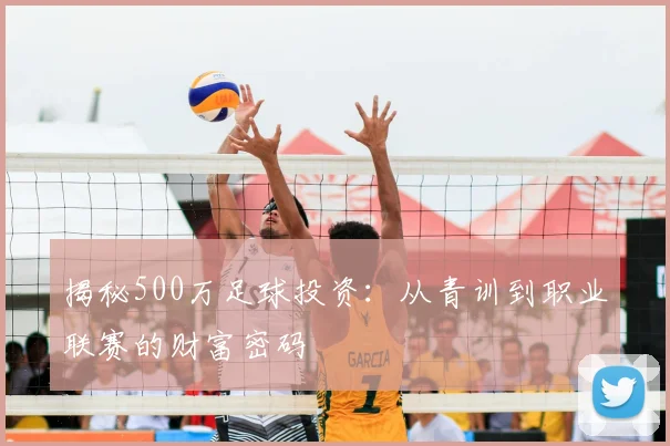 揭秘500万足球投资：从青训到职业联赛的财富密码
