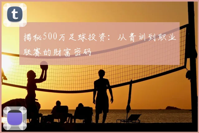 揭秘500万足球投资：从青训到职业联赛的财富密码